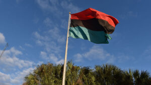 Red, black and green flag